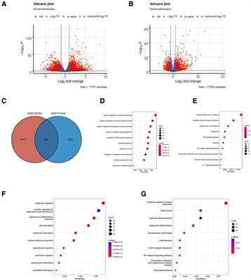 Identification of two novel ferroptosis-associated targets in sepsis-induced cardiac injury: Hmox1 and Slc7a11